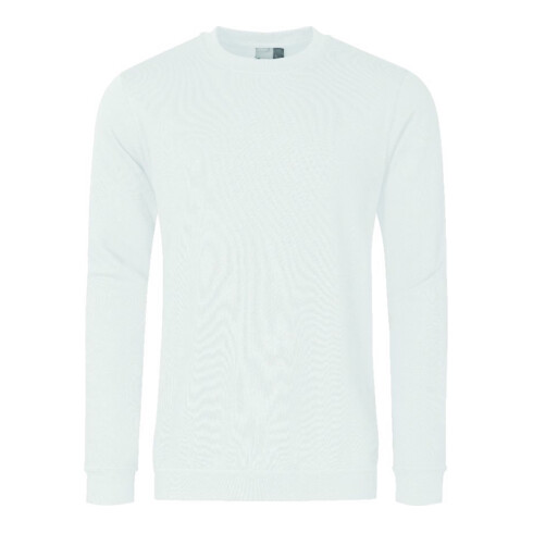 Sweatshirt lichtgrau