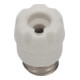 Mersen Bouchon à vis NEOZED porcelaine D02 63A 01711.000200