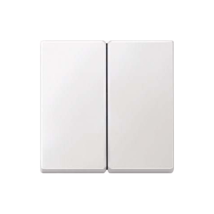 Merten Bascule pws pour interrupteur série 433519