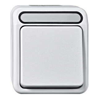 Merten Bouton-poussoir à fermeture 1 pôle blanc polaire MEG3150-8019