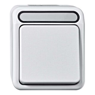 Merten Bouton-poussoir fermant 1 pôle gris clair MEG3150-8029