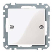 Merten Cache-bouton pws/gl EDV 461819-1
