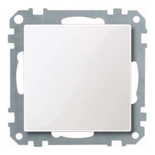 Merten Cache-obturateur pws/gl 391619