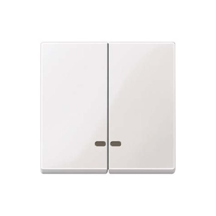 Merten Doppelwippe pws/gl Kontrollfenster MEG3420-0319