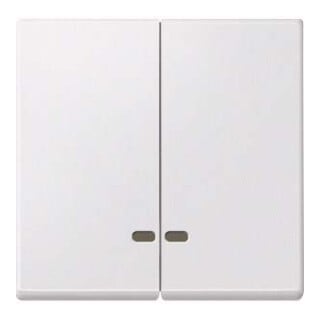Merten Double bascule pws fenêtre de contrôle MEG3420-0419