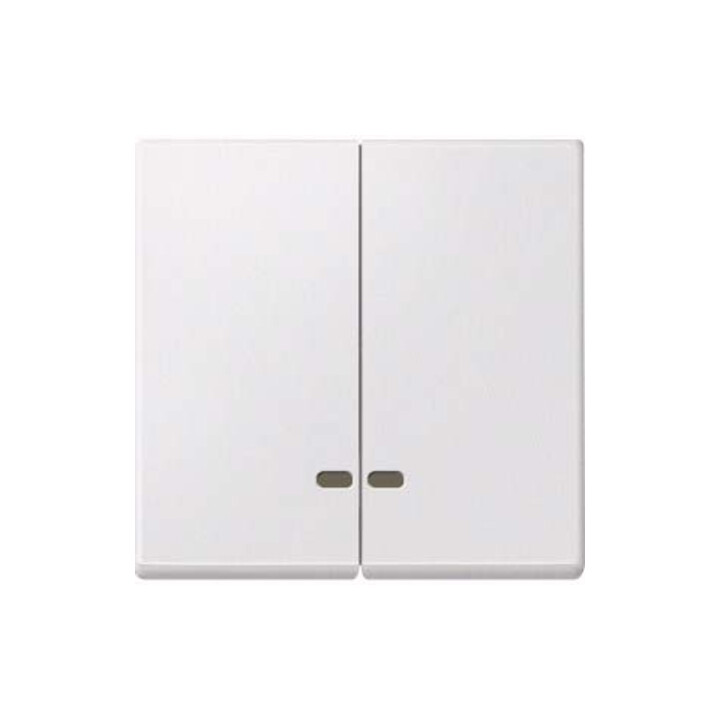 Merten Double bascule pws fenêtre de contrôle MEG3420-0419
