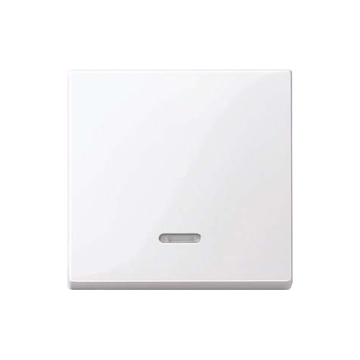 Merten Interrupteur à bascule Contr. fenêtre aws/gl pour insert touche sonore 436025