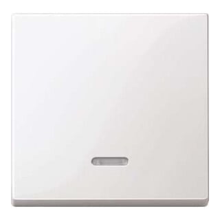 Merten Interrupteur à bascule Contr. fenêtre pws/gl pour insert tactile silencieux 436019
