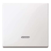 Merten Interrupteur à bascule Contr. fenêtre pws/gl pour insert tactile silencieux 436019-1
