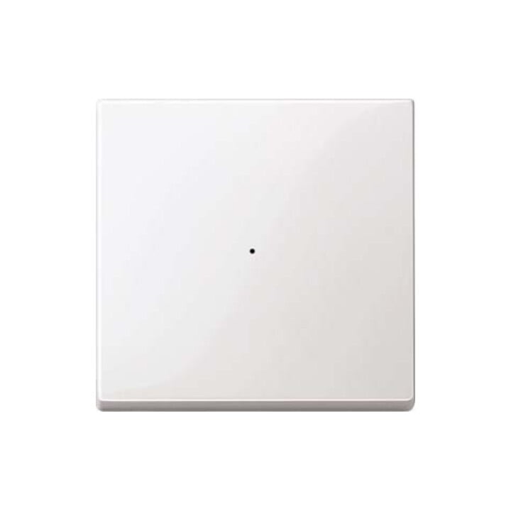 Merten Interrupteur à bascule pws/gl pour module-poussoir 1f. 619119
