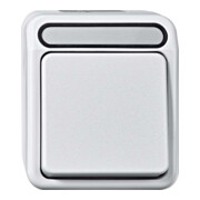 Merten Interrupteur à bouton-poussoir N-borne 1 pôle, gris clair MEG3156-8029-1