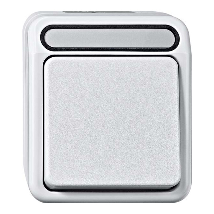 Merten Interrupteur à bouton-poussoir N-borne 1 pôle, gris clair MEG3156-8029