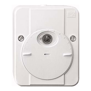 Merten Interrupteur crépusculaire pws AC 230V 544819