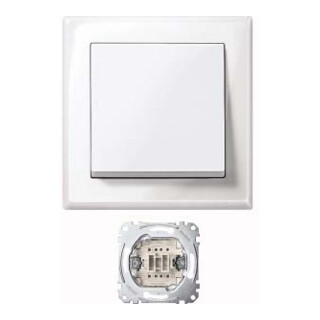 Merten Jumbo Schalter pws/gl 10AX AC 250V MEG3341-1419