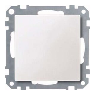 Merten Plaque aveugle pws 391819