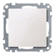 Merten Plaque aveugle pws 391819-1