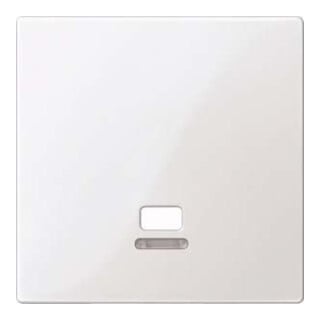 Merten Plaque centrale avec fenêtre de contrôle MEG3380-0319