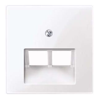 Merten Plaque centrale avec support pour installation UAE 2f. 296125