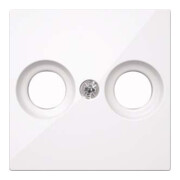 Merten Plaque centrale aws/gl pour prise antenne MEG4122-0325-1