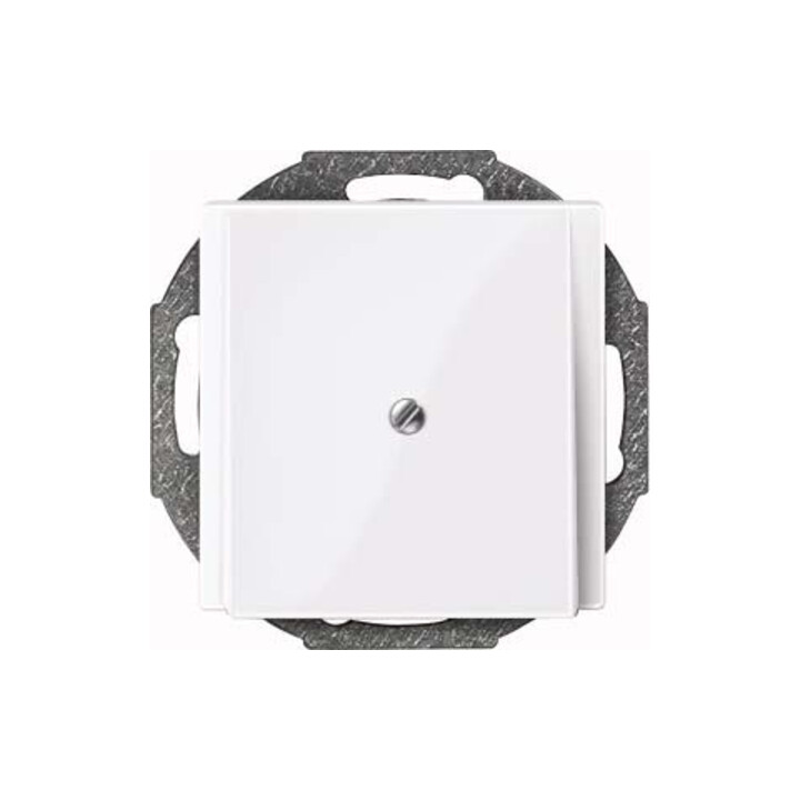 Merten Plaque centrale aws/gl sortie de câble 296325