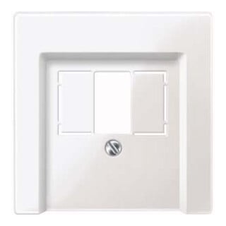 Merten Plaque centrale pws/gl pour boîte de connexion 296019