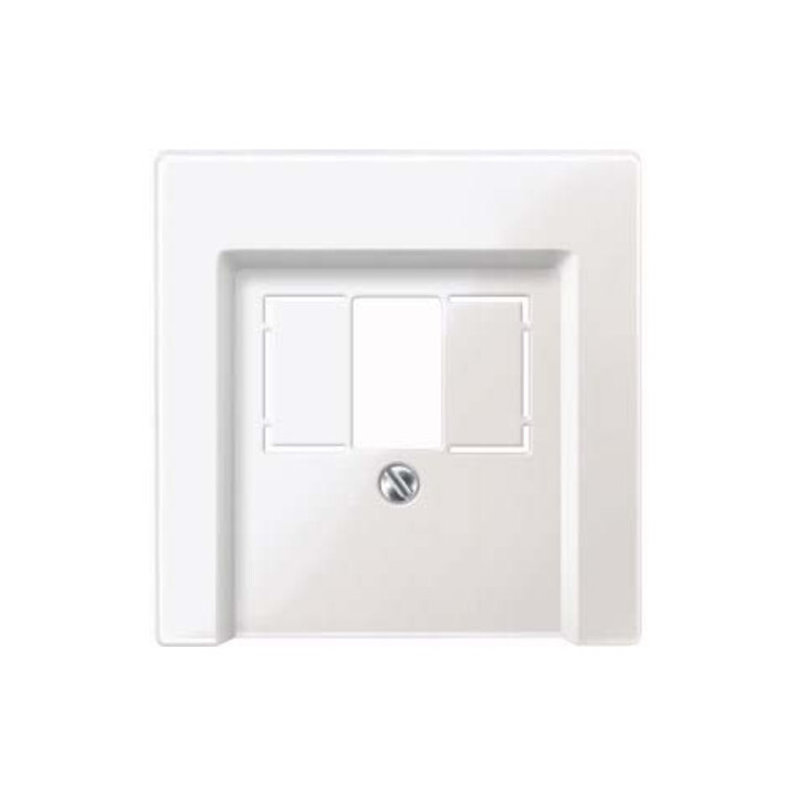 Merten Plaque centrale pws/gl pour boîte de connexion 296019