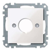 Merten Plaque centrale pws/gl pour dispositif de commande 393819-1
