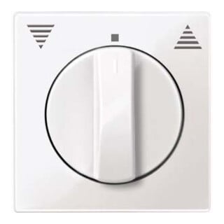 Merten Plaque centrale pws/gl pour insert à rouleaux 567119