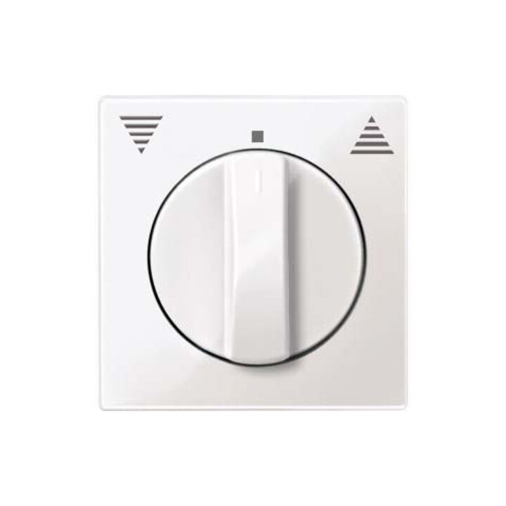 Merten Plaque centrale pws/gl pour insert à rouleaux 567119