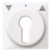 Merten Plaque centrale pws/gl pour insert de volet roulant 319419-1