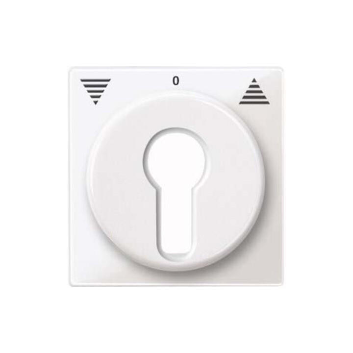 Merten Plaque centrale pws/gl pour insert de volet roulant 319419