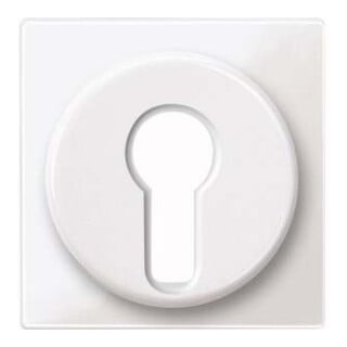 Merten Plaque centrale pws/gl pour insert d'interrupteur 319519