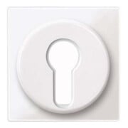 Merten Plaque centrale pws/gl pour insert d'interrupteur 319519-1