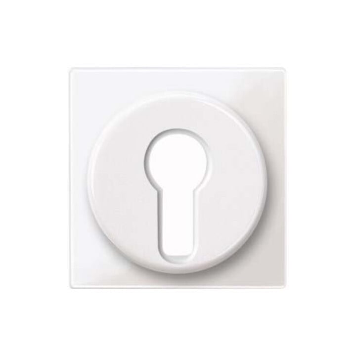 Merten Plaque centrale pws/gl pour insert d'interrupteur 319519