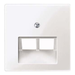 Merten Plaque centrale pws/gl pour insert UAE 2f. 296119