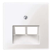 Merten Plaque centrale pws/gl pour insert UAE 2f. 296119-1