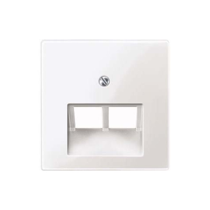 Merten Plaque centrale pws/gl pour insert UAE 2f. 296119
