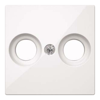 Merten Plaque centrale pws/gl pour prise d’antenne MEG4122-0319
