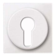 Merten Plaque centrale pws Insert à verrouillage interchangeable 318119-1