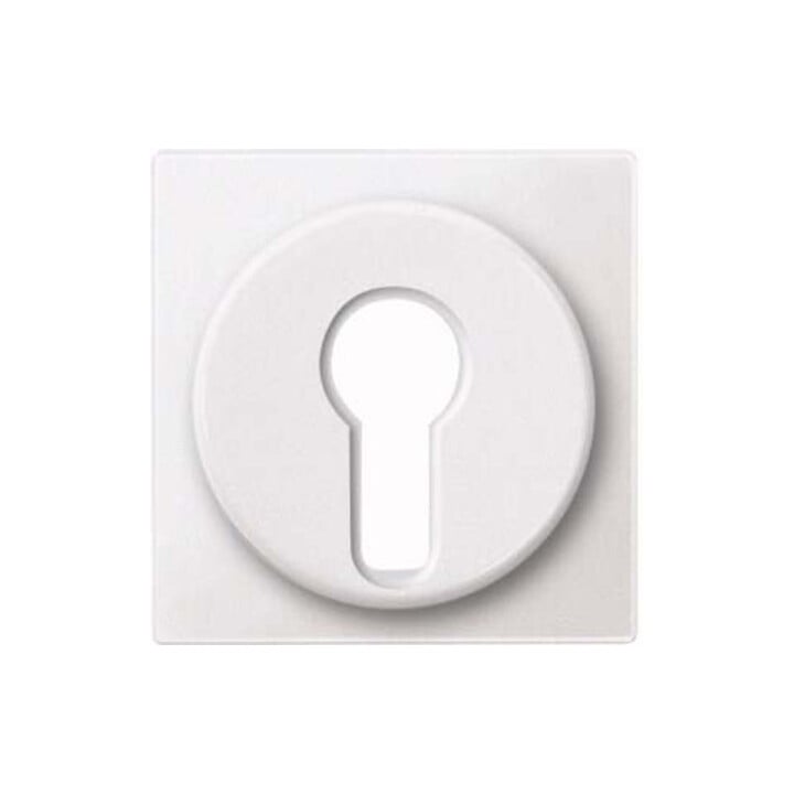 Merten Plaque centrale pws Insert à verrouillage interchangeable 318119