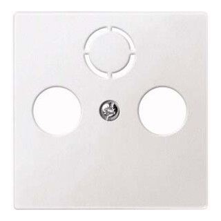 Merten Plaque centrale pws pour prise antenne 297519
