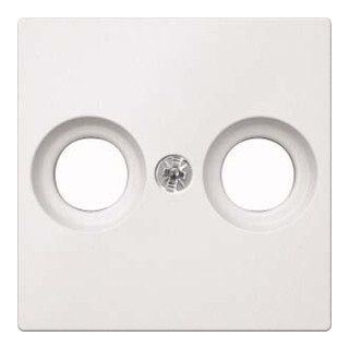 Merten Plaque centrale pws pour prise antenne MEG4122-0419