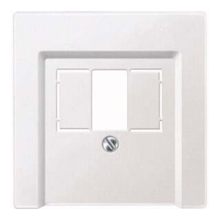 Merten Plaque centrale pws pour prise TAE 297919