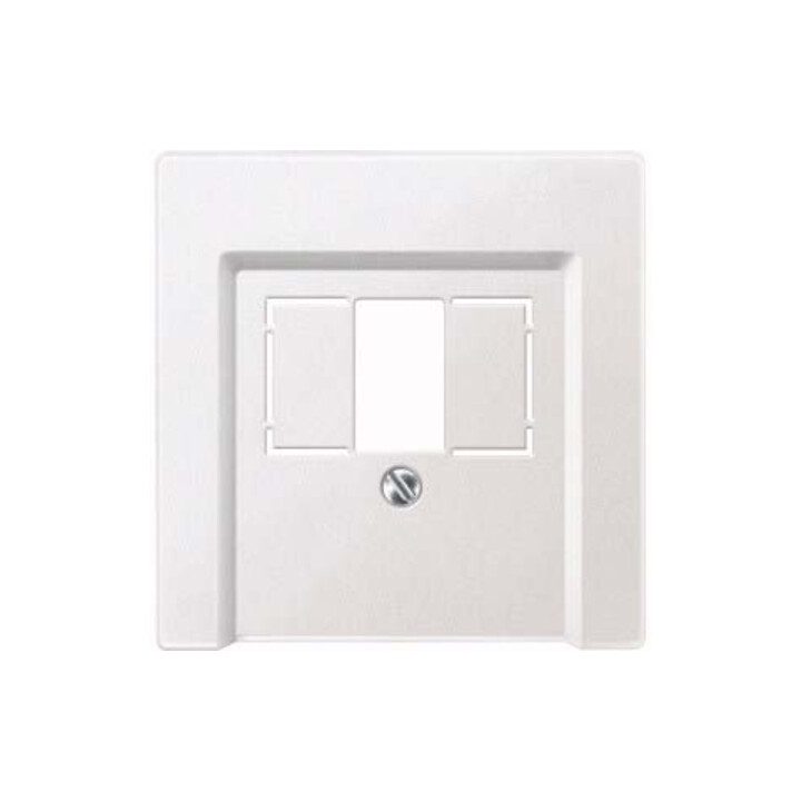 Merten Plaque centrale pws pour prise TAE 297919