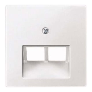 Merten Plaque centrale pws pour usage UAE 298019