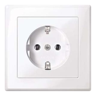Merten Prise SCHUKO aws/gl avec plaque de recouvrement complète MEG2301-1425