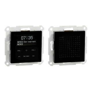 Merten Radio DAB+ avec Bluetooth et haut-parleur MEG4375-0303