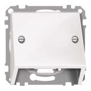 Merten Sortie oblique pws/gl pour connexion de données 464919