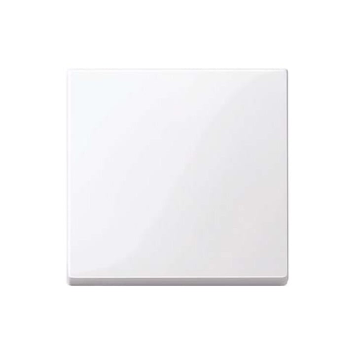 Merten Wippe aws/gl 432125