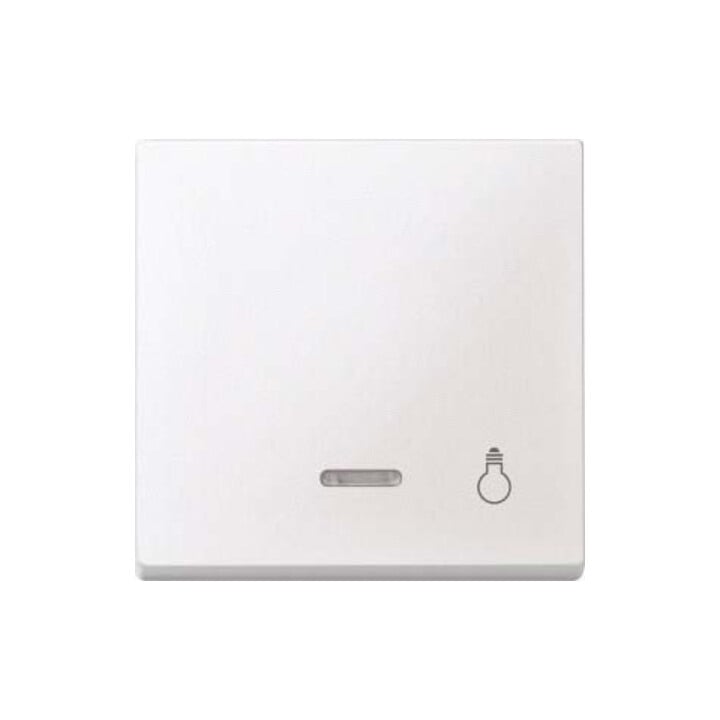 Merten Wippe Kontr.Fenster pws Aufdruck Licht 430919